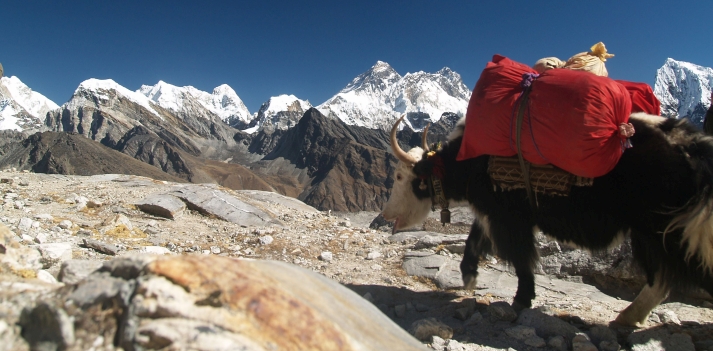 Nepal - Trekking sull' Everest  3